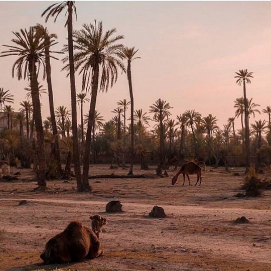 marrakech to zagora 2 days